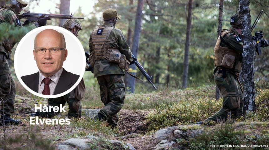 Sldater i skog. Hårek Elevenes innfelt